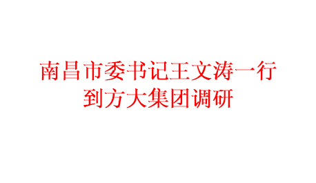 为推进项目建设 加快产业发展南昌市委书记王文涛一行到尊龙凯时集团调研